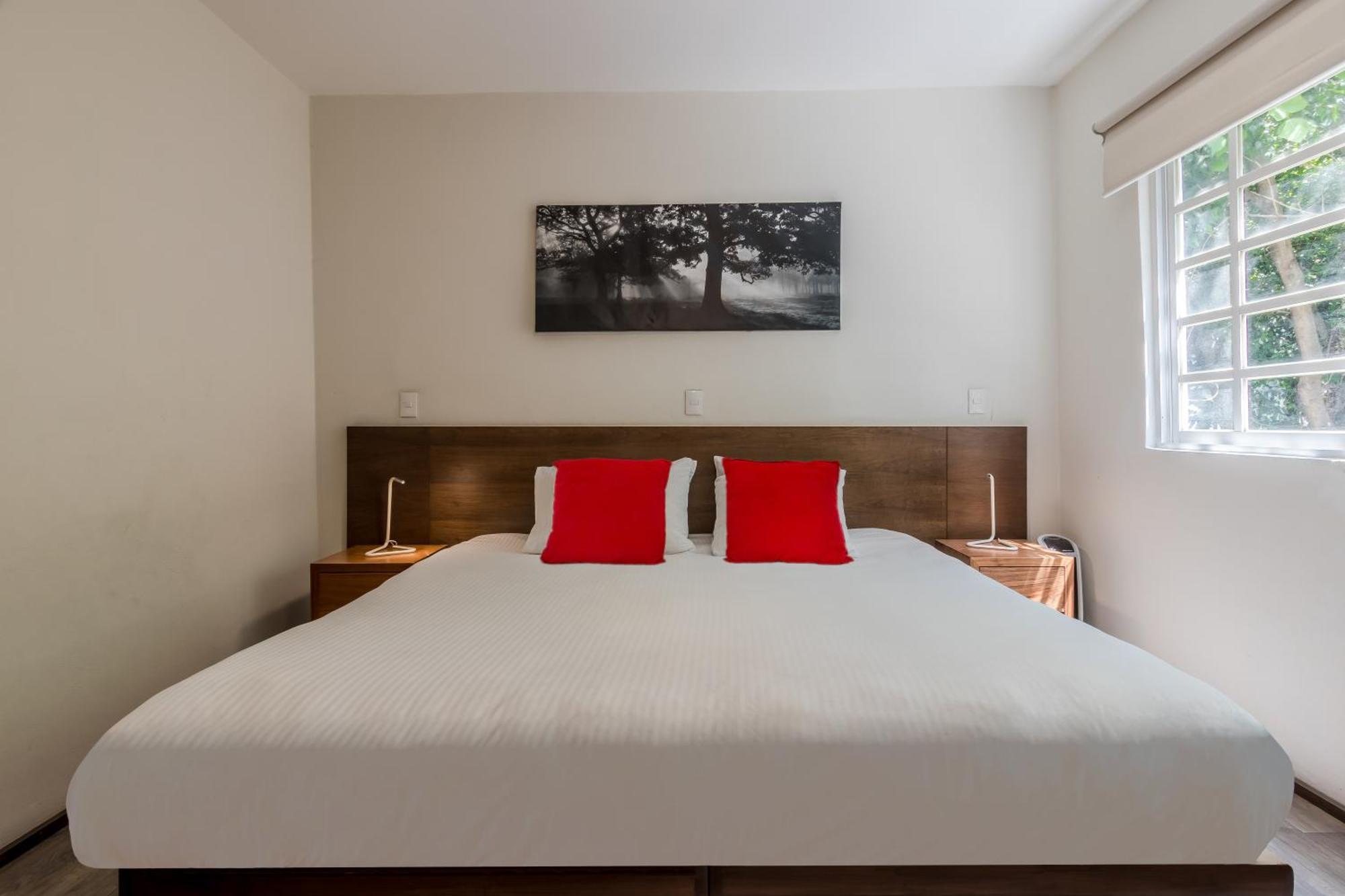 Om 686 Urban Lofts Narvarte — Photos 2